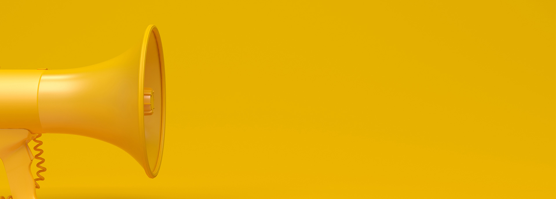 &nbsp;